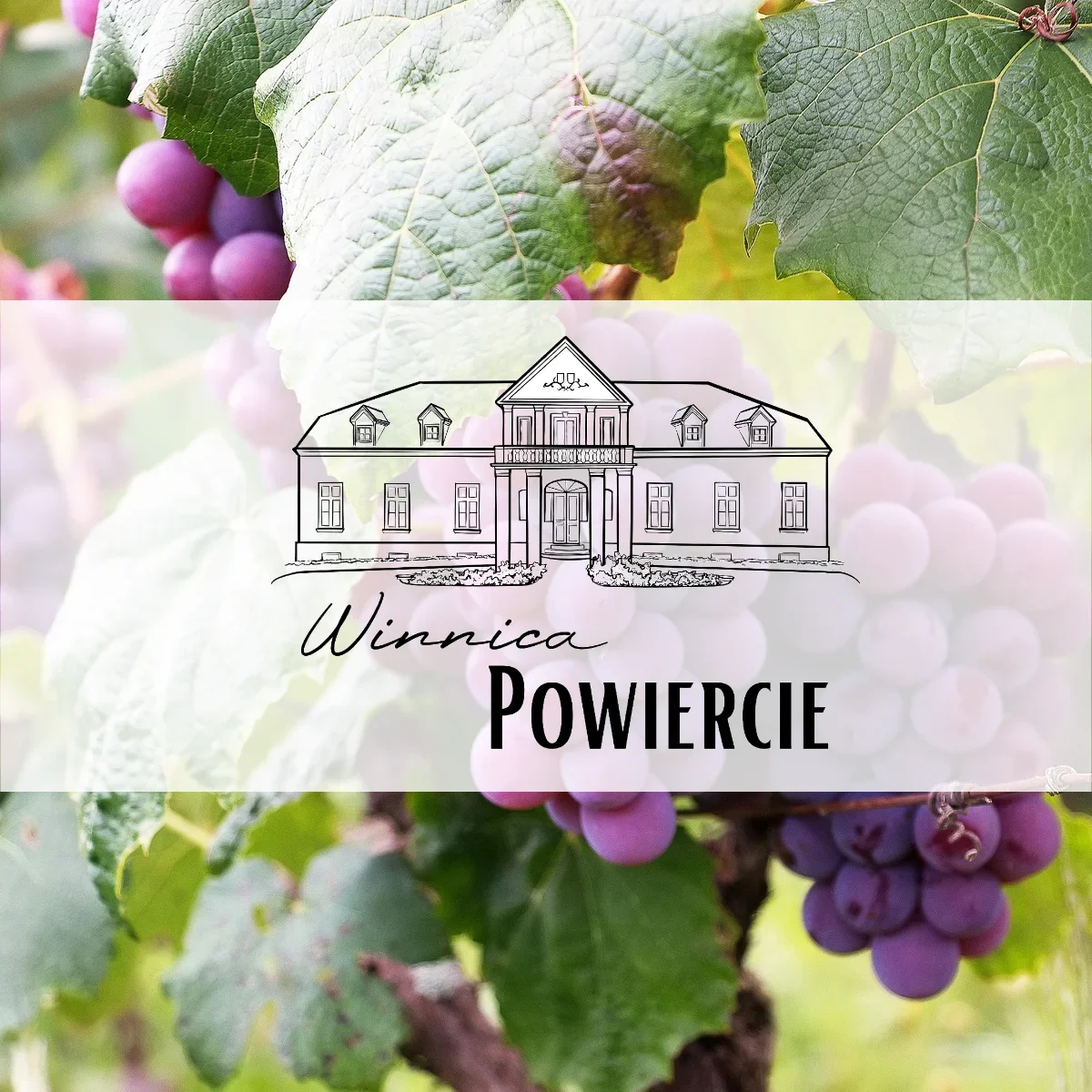 Winnica Powiercie